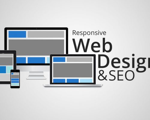 Web Designing & SEO